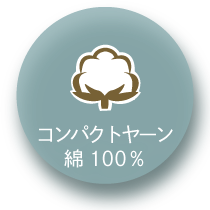 ѥȥ䡼100